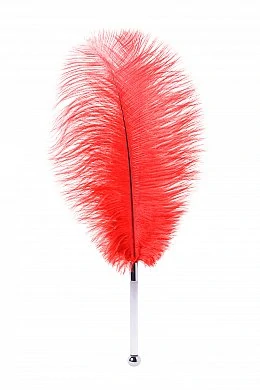 6ebe66e2-9da7-4c1f-ac10-4109a36fd5cb