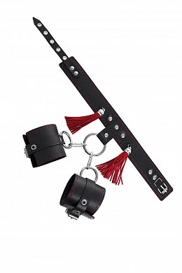 51c416af-560a-4d8b-a61f-ccb0d6b5580c