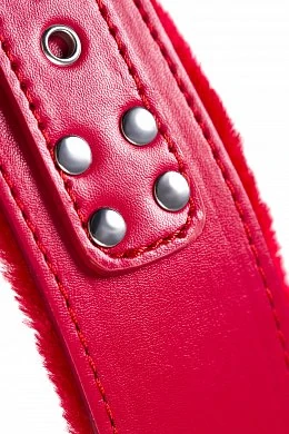 81b0b059-5581-4472-9050-4e6a67953d6f