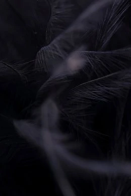 e7311d28-ae61-4779-8c12-2aeb73c6039f