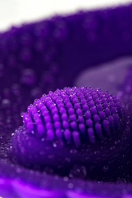 616de91b-0cde-49bb-81ae-05150394c423