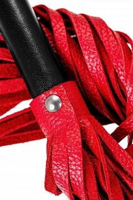 05eb623b-acda-47c3-b705-f1404848579d