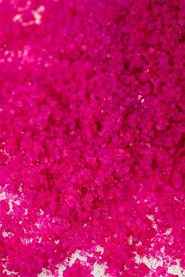 731e1e0e-1450-451f-8d52-c227a86243d0