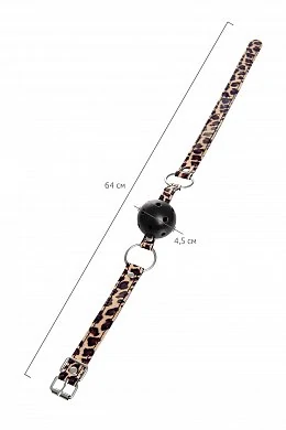 ae971432-1751-4fc0-b0c0-e382f235fbd5