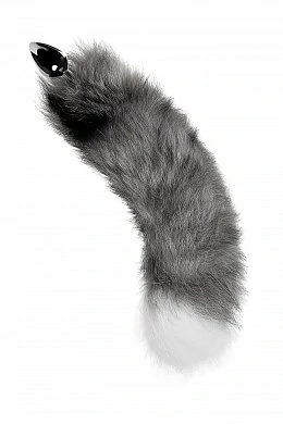 02f8d88f-ab09-4804-89bd-3d00fe061aad