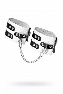 58c4d6db-7f9b-45ae-82f7-7e0b69e3fea3