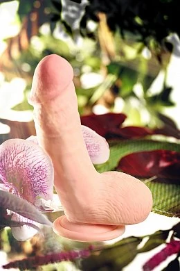 90385f08-22c7-4999-ac50-ecccc734d670