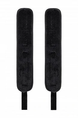 2567ecf4-9484-4c36-a808-0d8184bcbafc