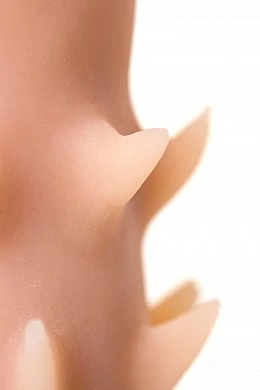 76ab5f9b-fb4a-4df8-97e4-1fac782ed01e