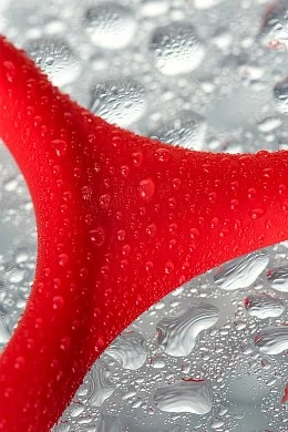 489343de-48e8-440c-a385-456a3dcbfa96