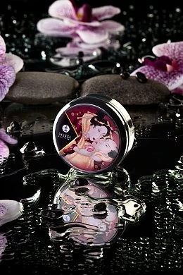 156fc0d1-b23e-4c31-8472-66963a54bb41