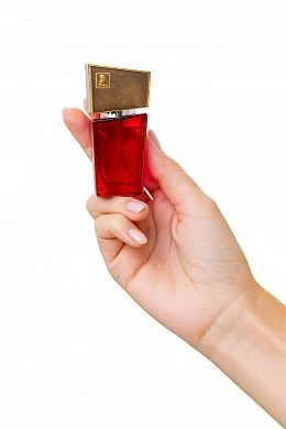 2fd6c8f5-484d-40c4-afec-27ebe56221b0