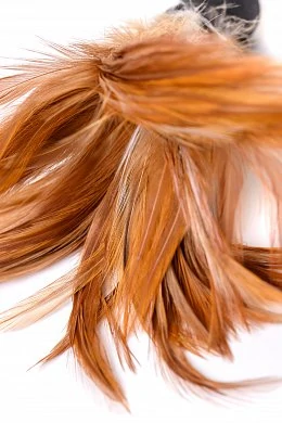 27831876-6431-4055-86e5-3e03a0b03b7b