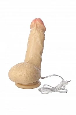 d394a441-e8cb-4b4f-b348-bcc31953aab5