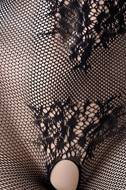 55a477ee-55a7-4fcf-9d24-2f66962b2094