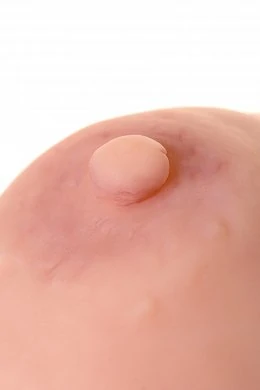 dea350c3-f996-464e-8390-fcbf727d752c