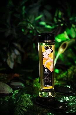 b985888e-5ae5-4b76-8b44-3332a1603eed