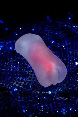 182f0bab-03bd-46ff-88d6-46d37da9b6b0