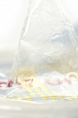 80694c20-4ad9-48e4-ba68-897130d8bc3e