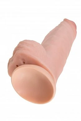 729cc3f0231ea6ddab147286498f781f