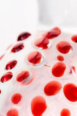 1d15ea41-3212-4b2d-bd9e-b0701a763d97