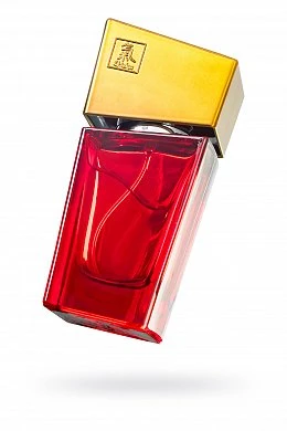 fb597f39-0d40-41bd-a4a0-12678dd38c5b