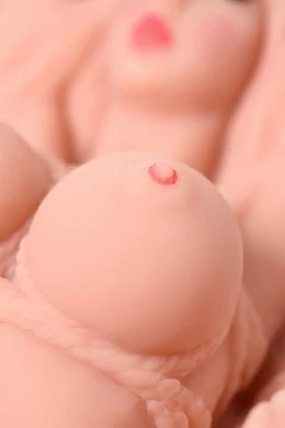 b3b1a586-0309-4e36-abfb-ebed86ed1f2f