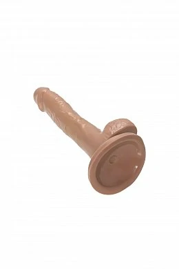 c901a950-38c8-4143-8c4f-5f89cf0d21ee