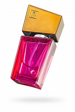 e4859ccd-5144-4534-8c9a-db6cdcdb2160