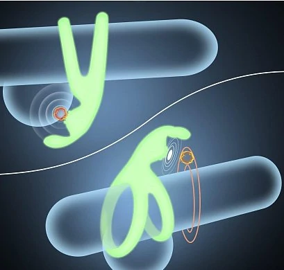 754f961c84290b579d721a352f339551