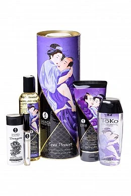 Подарочный набор Shunga Плотские утехи 5 средств — купить в секс-шопе LoveDoctor