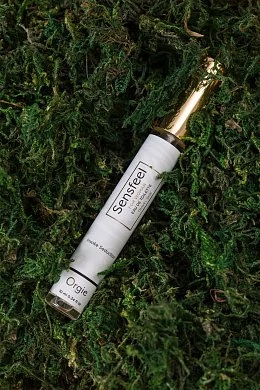 57676594-3cdc-4987-85dc-6cafc77e87bf