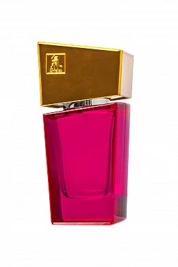 a60b0a8d-df14-4af0-b50b-41fee4254b61