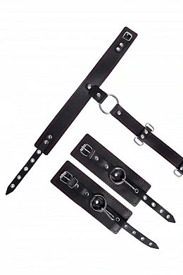 b17de142-eb67-4eb5-b1f2-764a9374277f