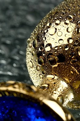 31d5e1f2-8635-4a16-82cf-eeb8f8d55e45