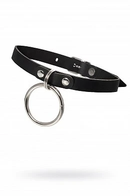 79ae2c37-2d52-493e-a90e-380cb4a44714