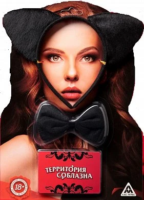 Эротический набор "Территория соблазна. Женщина-кошка" — купить в секс-шопе LoveDoctor
