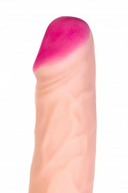 1bb2998f-c54b-48c0-8121-beca50421736