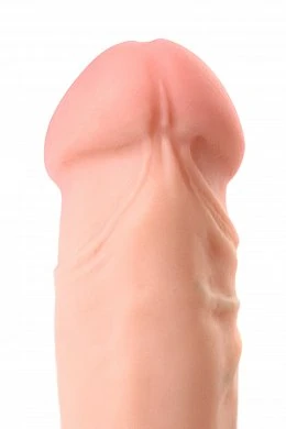 aa7fd98f-0f3c-4664-9433-53037ba4fec0