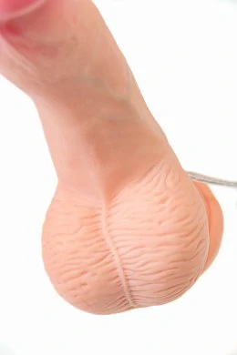 91e63462-5635-4242-8aa0-629d3537a80a