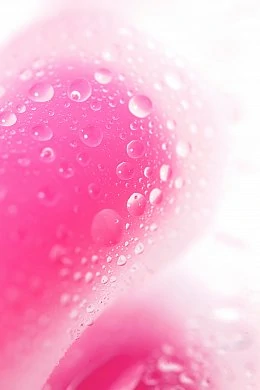 ee65c3b4-bec9-4c13-a7a9-8e6e338b817a