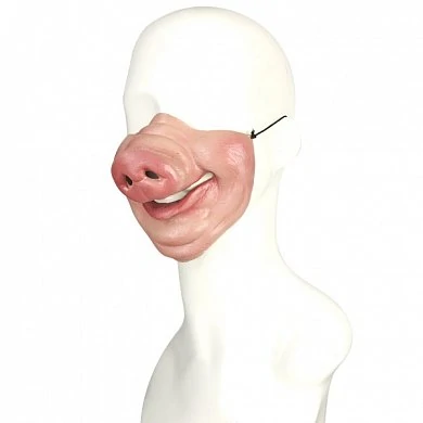Латексная маска PIG MASK — купить в секс-шопе LoveDoctor
