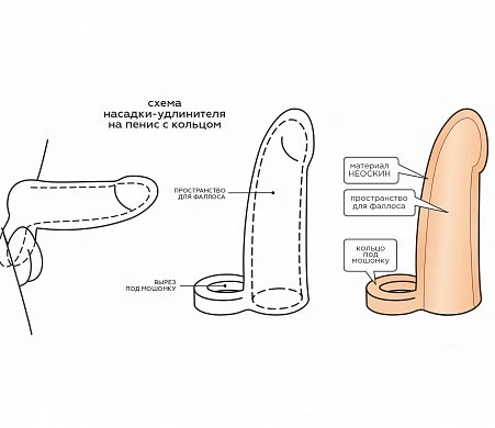 sxema-falloudlinitel-iz-tep-2