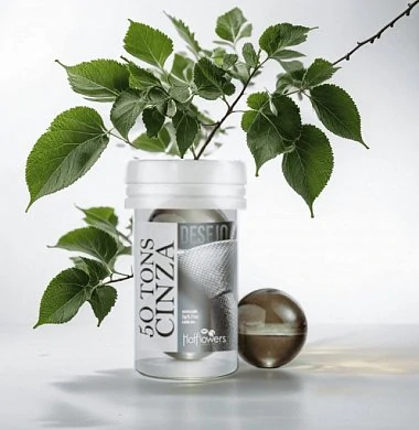 Снимок экрана 2024-10-27 162402