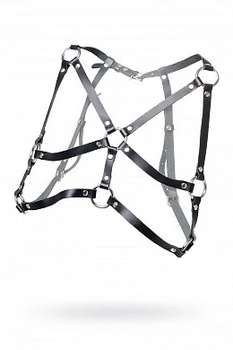 b5364010-0bc2-43fa-b254-b3f13e38af9b