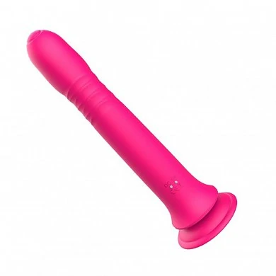 e244fcde_8aaa_11ee_8dc7_00155d3d9c03_aea999ad_f584_11ee_8dc9_00155d3d9c00