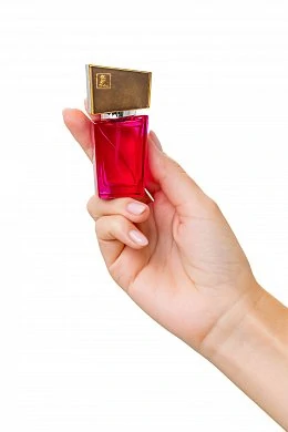 7028ed21-d12f-4698-a2f1-c40496da65b1