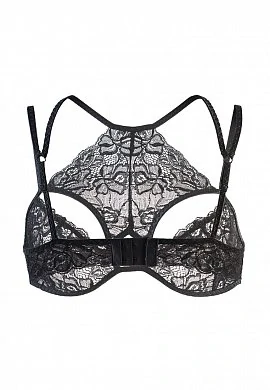 4e1c6a29-1b8a-4a1a-88a4-c53a408d102f