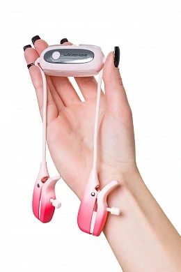 b5e1210e-c2e3-4be8-bd14-fd46ed38bd2c