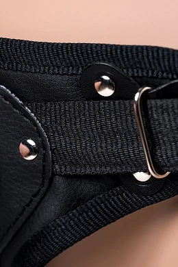 a25aa19e-3cd2-4b9e-b294-7910b416e958